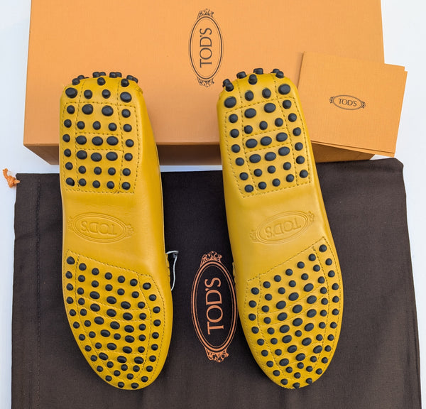 Tod's T Loafers in Mustard Yellow Leather New in Box Shoes