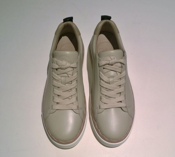 Chloé Lauren Sneakers in Pink Tea Leather Scallop Flats Grey Taupe Platform Trainers