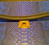 Celine Watersnake And Calfskin Mini Belt Bag Discount Handbag New